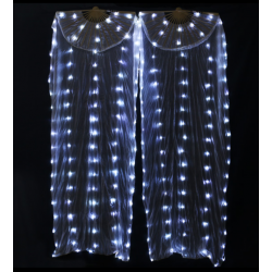 Coppia di brillanti fan...