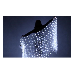 copy of Voile de danse...